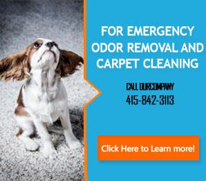 Our Services - Carpet Cleaning Tiburon, CA
