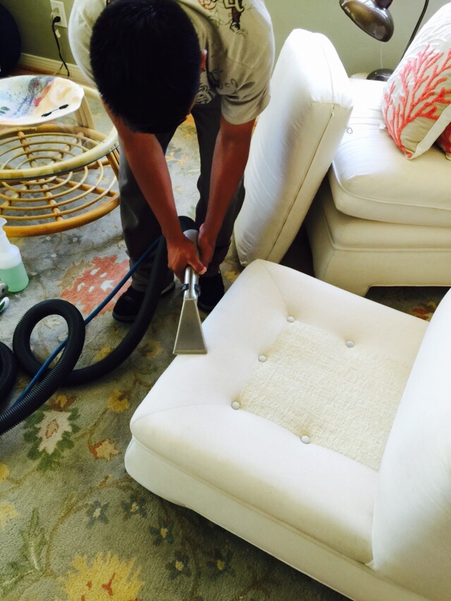 Upholstery Cleaning in Tiburon
